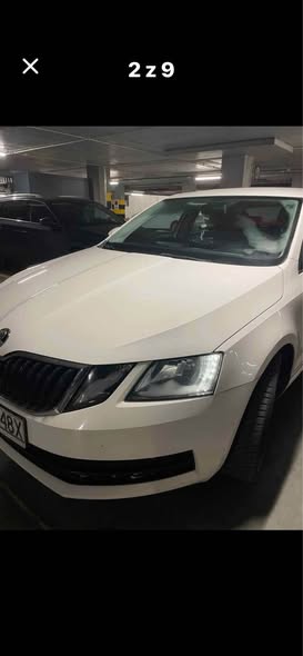 Skoda Octavia 2017, 1.6 TDI – Зомбки