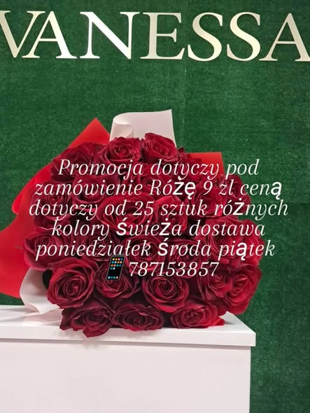 Стінки з повітряних кульок на замовлення, Nowy Dwór Mazowiecki 2